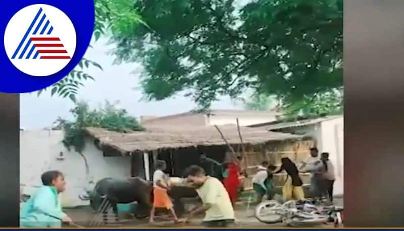 Fighting between two family in UP video goes viral akb