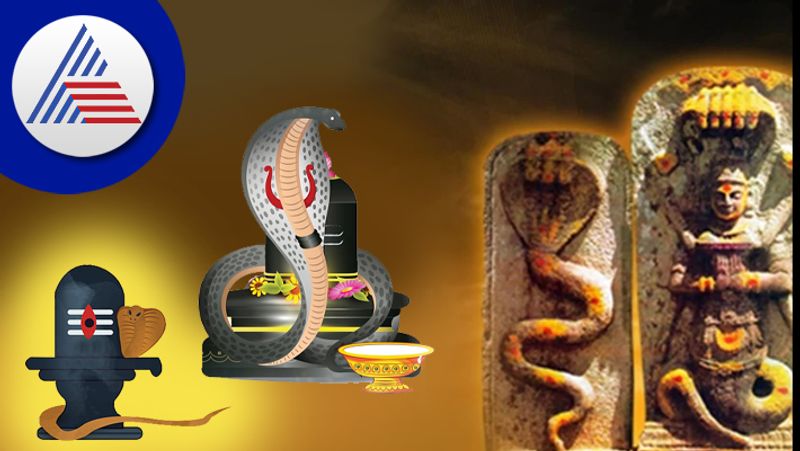 Nag Panchami Visit Famous Lord Shiva Temples In South India roo