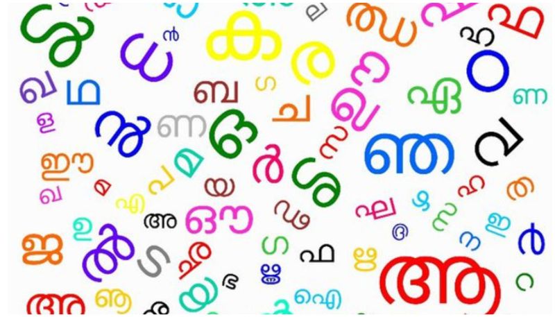 malayalam language training programme for tribal students in edamalakkudy