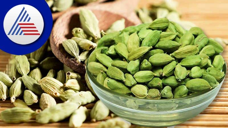 amazing health benefits of cardamom or elaichi in tamil mks