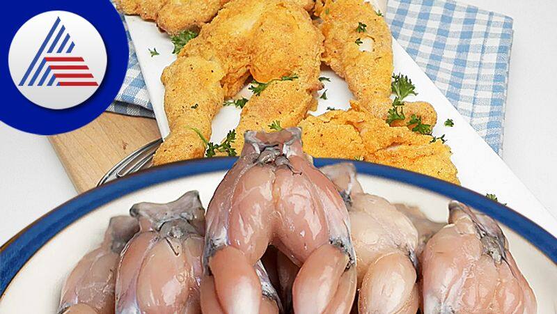 Popular Weird Food Around India, Here You Can Get Frog Leg Piece Vin