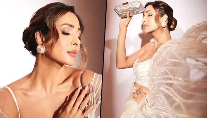 Hotness Alert: Malaika Arora personifies 'sex appeal' in sheer ivory saree (pictures) RBA