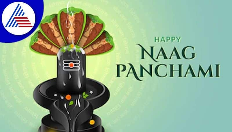 Nag Panchami 2022 5 snake temples in India you can visit on this auspicious day gcw