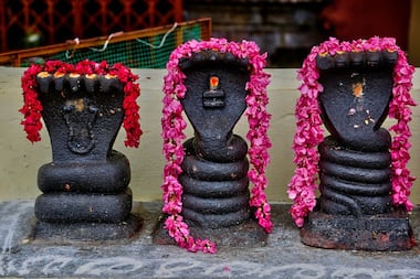 Asianet Image