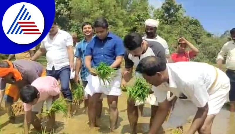 uttara kannada dc mullai muhilan on paddy field gvd