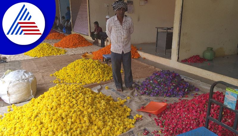 flowers price falls due to heavy rain gvd