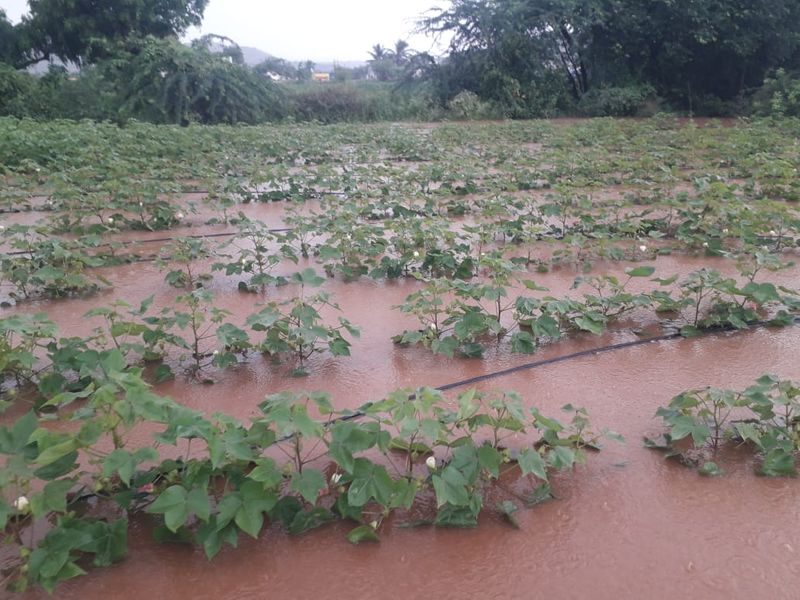Karnataka Rain