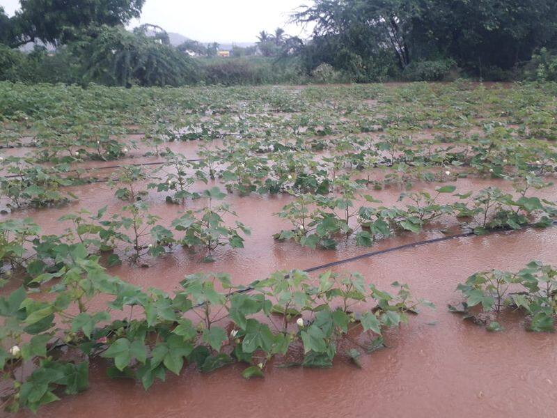 Karnataka Rain