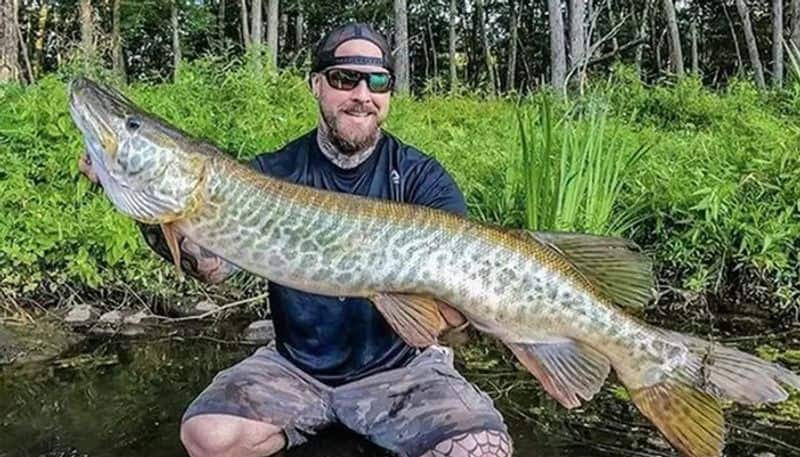 monster fish caught by fisherman from usa 