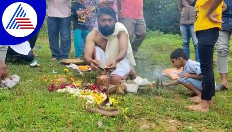 People Performed Pooja to Real Snake During Naga Panchami in Uttara Kannada grg