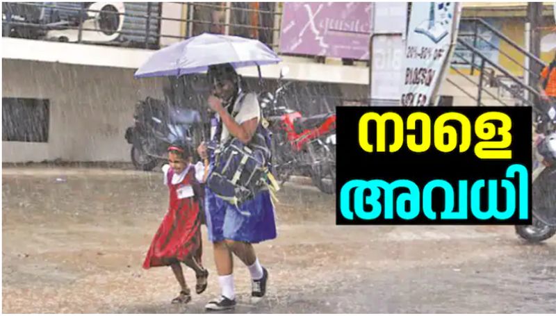 Kerala Rain continues holiday for educational institutions in two districts