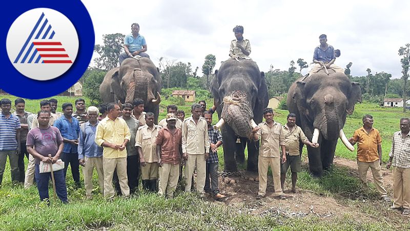 Mysuru Dasar Elephant Mavuta Kavadigar Sangh decision to boycott Dasara rav