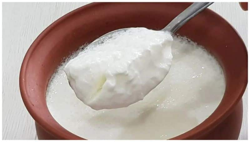 health benefits of eating curd daily rse