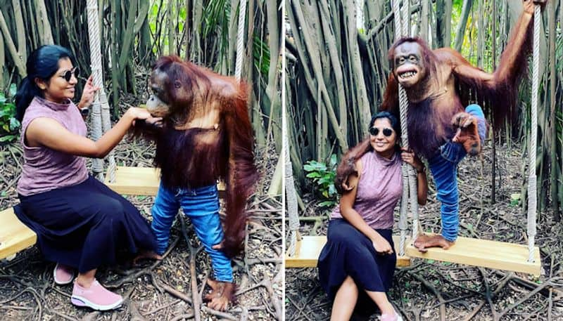 Watch Chimpanzee in jeans hugs, kisses, poses with woman in Bangkok; Netizens love it-tgy