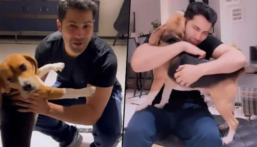 Cuteness Alert: Varun Dhawan gets kisses and hugs from his Beagle 'Joey'; watch here