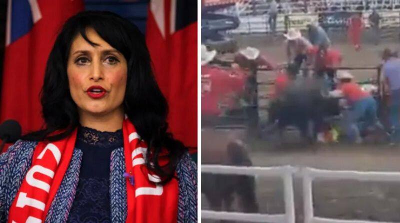 Indian origin MLA Leela Aheer saves man from bulls attack in canada