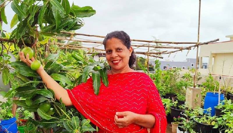 vegetables and fruits from terrace garden 