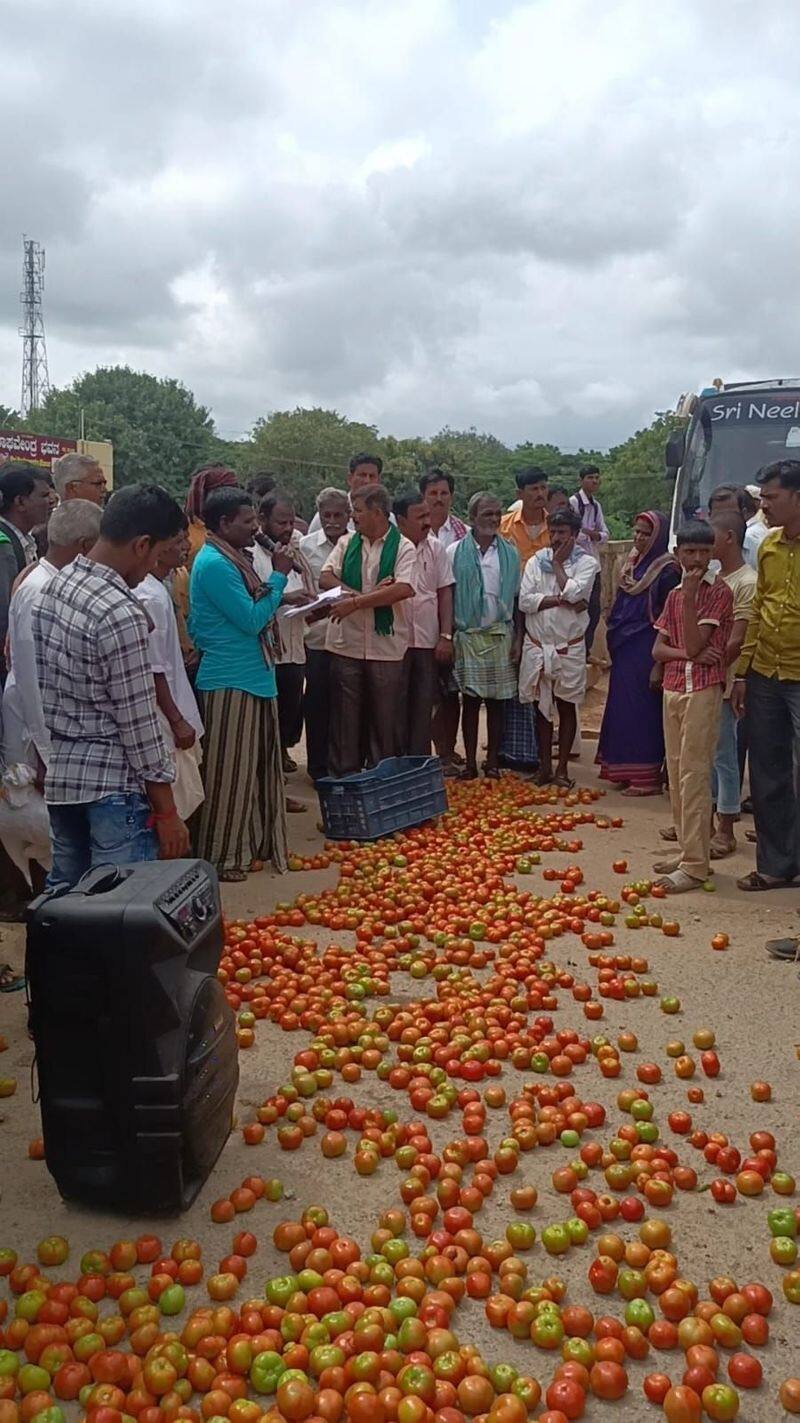 Farmers Protest against tomato price drop lakshmeshwar gadg rav