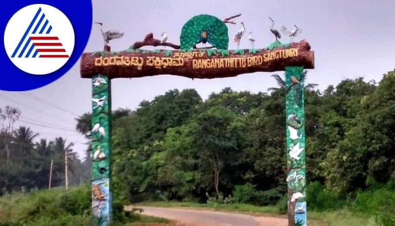 ranganathittu bird sanctuary is karnatakas first ramsar site gvd