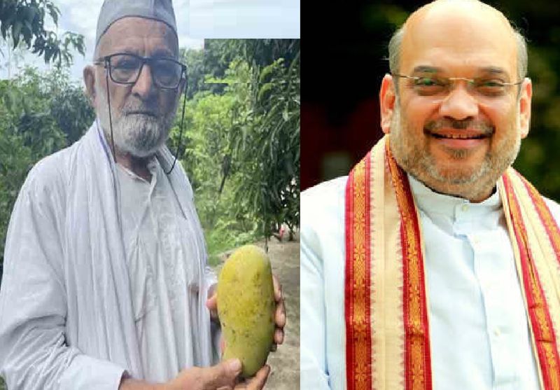 haji kalimullah khan names new mango Variety as amit shah aam