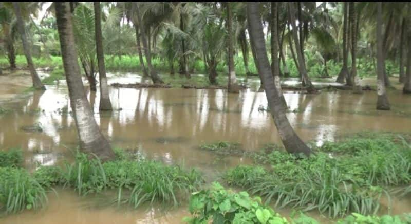 rains destroyed banana and others crops In Ramanagara rbj