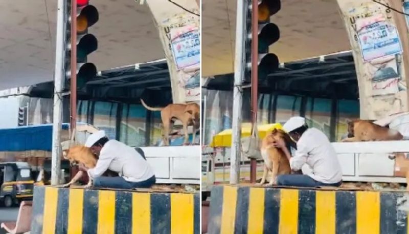 man comforts and cares street dog heartwarming video 