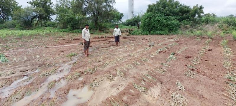 The canal broke and watered a large amount of land Crop destruction rav