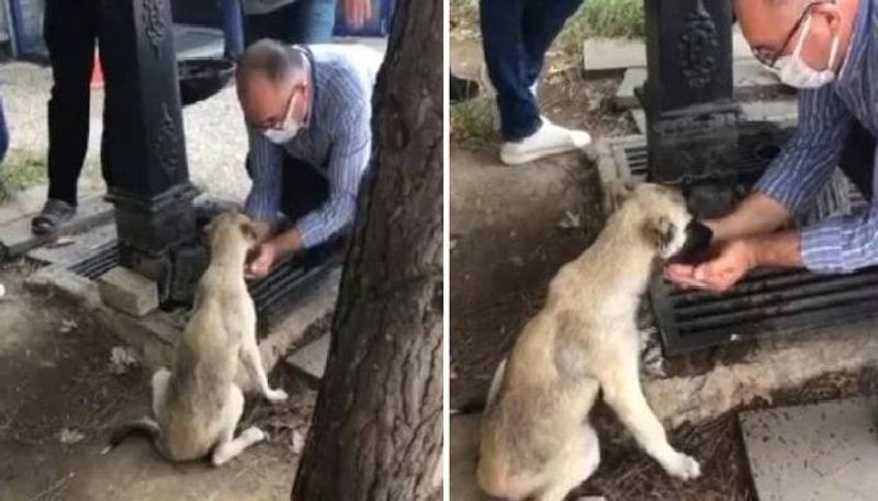 man hold water on hands and feed thirsty dog 