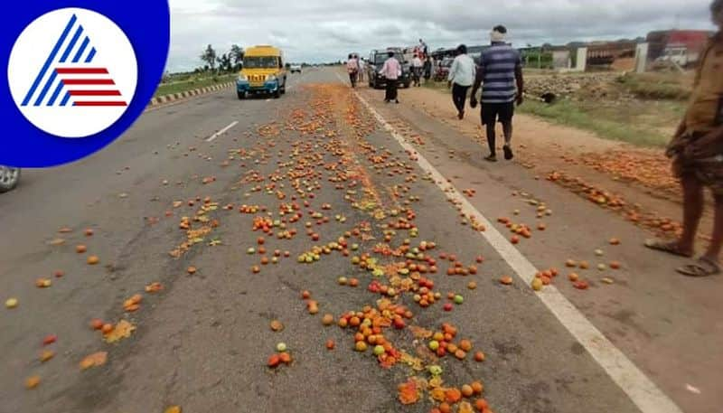 tomato price fall chitradurga farmers dump tomatoes on roads gow