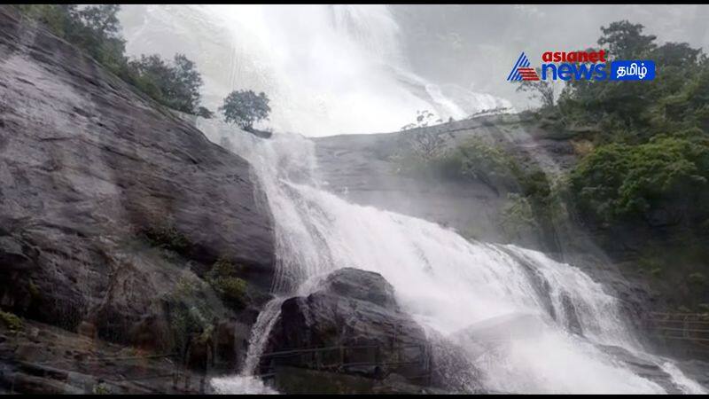 Allowed to bathe in courtallam waterfalls! Tourists are excited about the rain!