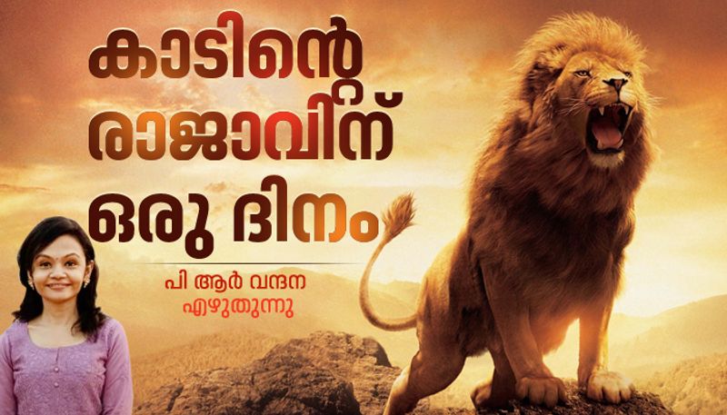 World Lion Day 2021 History significance and celebration by Vandana PR