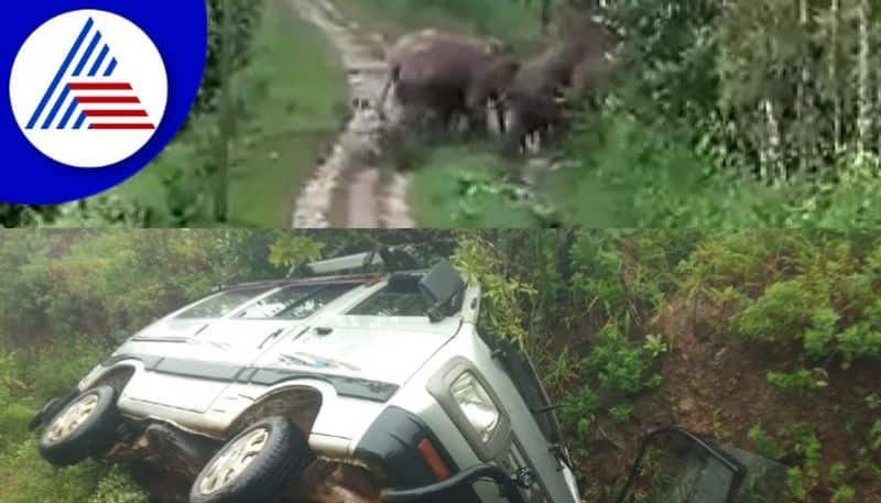 Chikkamagaluru Rebellion of wild elephants and escape of those in the car rav