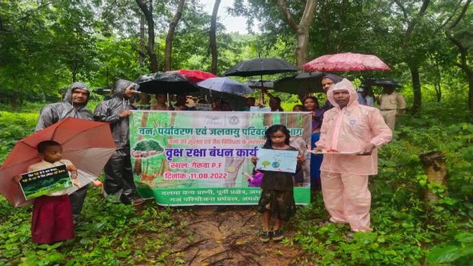 झारखंड में अनोखे तरह से मन रहा रक्षाबंधन:पेड़ो पर तिलक कर राखी बांध रही महिलाएं, 2 दिन तक चलेगा ट्री कार्यक्रम