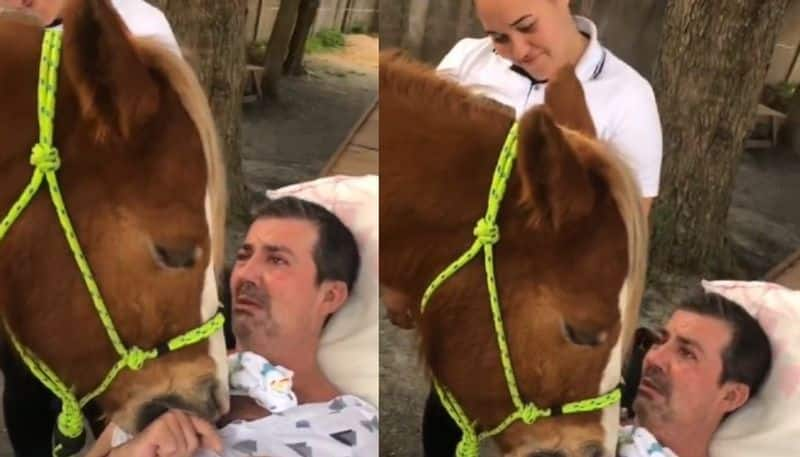 patient crying while in a horse therapy session 