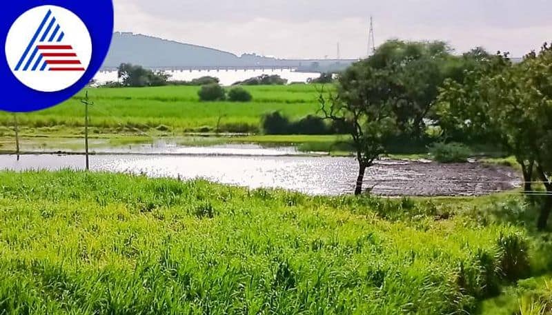 Still Flood Fear in North Karnataka grg