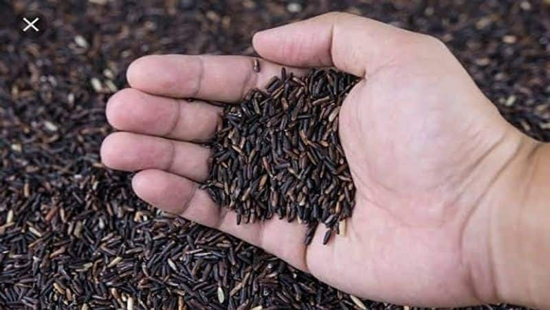 Black Rice Prevents Cancer: Here Are More Amazing Benefits!