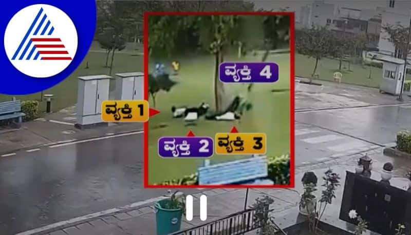 Lightning strikes people standing under tree: Horrific scene captured on CCTV akb