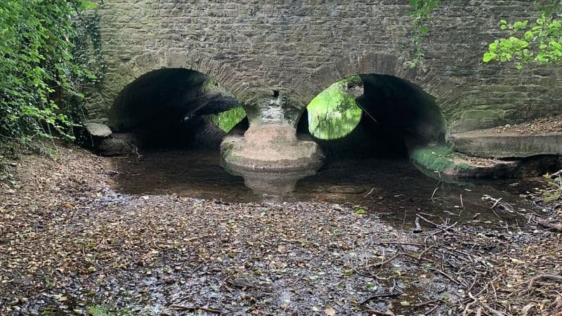 thames river in england is at its driest ever