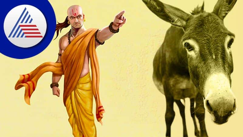 Learn these things from donkey says Chanakya 