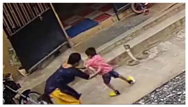 Woman In Karnataka Saving Son From Snake, video viral