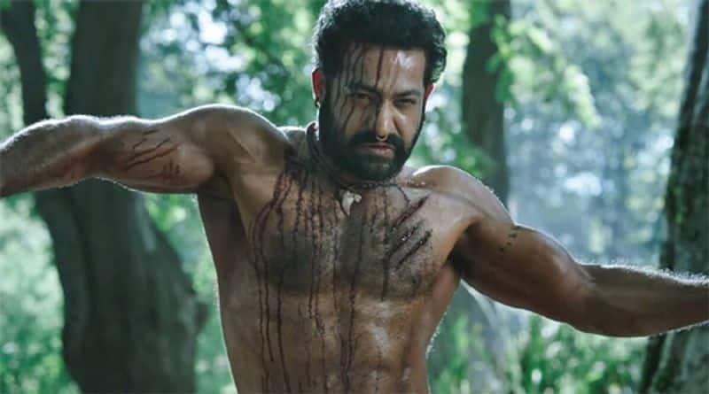 case filed against jr ntr fans for sacrifying goat gvd