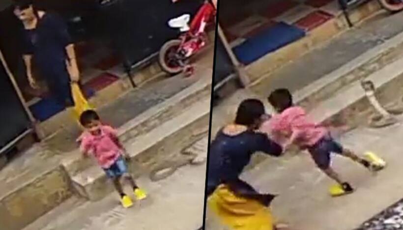 Woman rescues son from raging cobra; heart stopping video goes viral