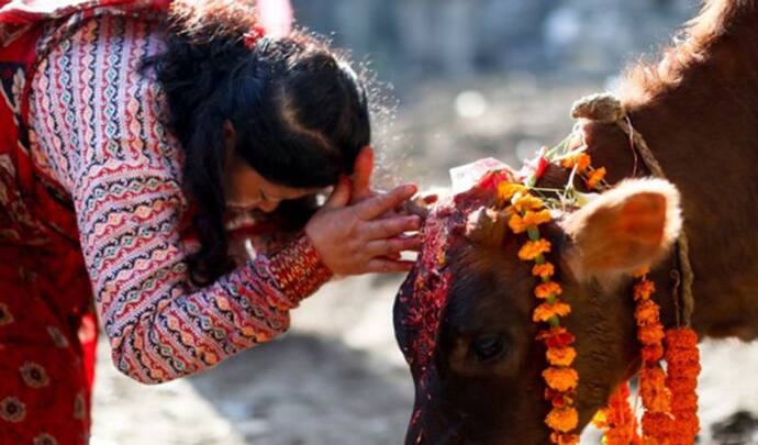 Bahula Chaturthi 2022: इस आरती के बिना अधूरा है बहुला चतुर्थी व्रत, जानें पूजा विधि, शुभ मुहूर्त और उपाय