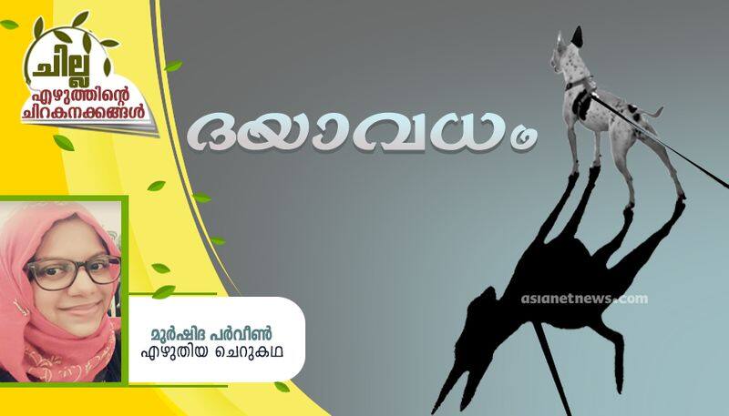 chilla malayalam short story by Murshida Parveen