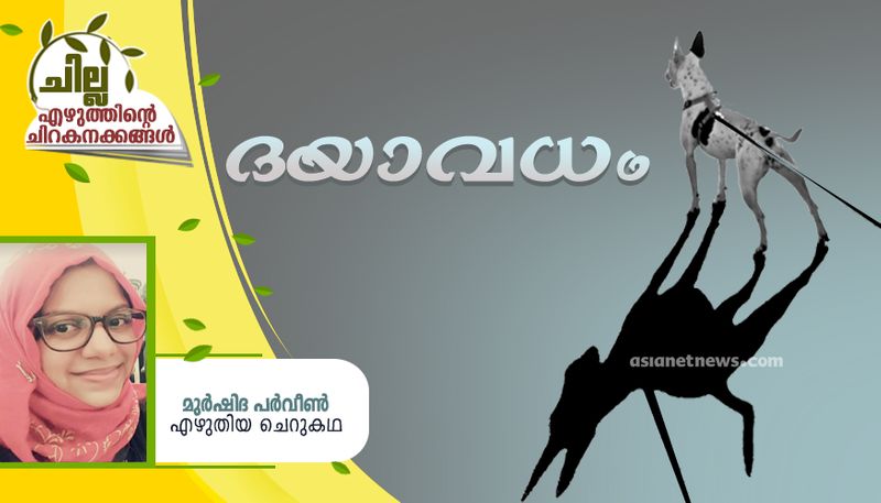 chilla malayalam short story by Murshida Parveen