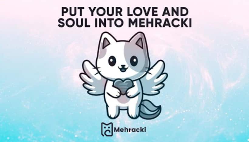 Shiba Inu, Vita Inu, and Mehracki Token   The Three Tokens Leading The Meme Coin Revolution