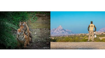 How to ensure the evolutionary practice of ethical wildlife photography in recent times?