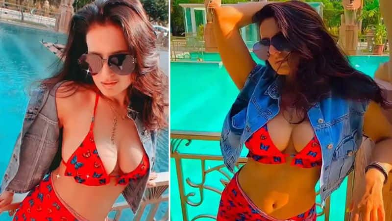 Ameesha Patel turns 47: Gadar 2 actress SEXY and BOLD photos go viral on her birthday RBA