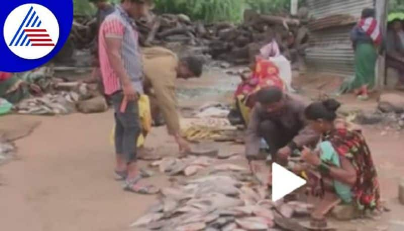 Selling Fish on Road in Yadgir grg