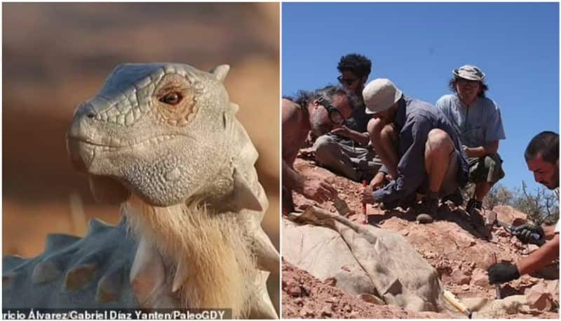 Fossil of armored dinosaur found in Argentina